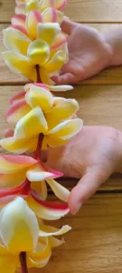 Photo of the Day: Keiki’s first lei